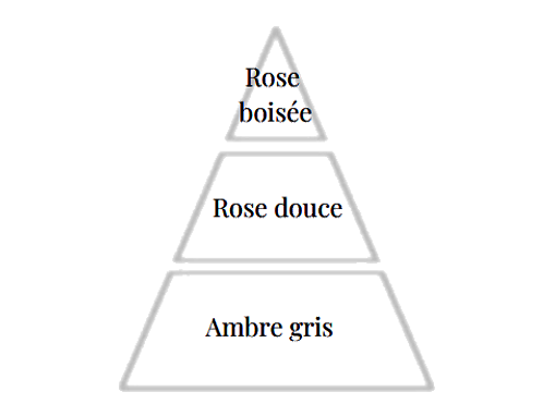Notes de tête